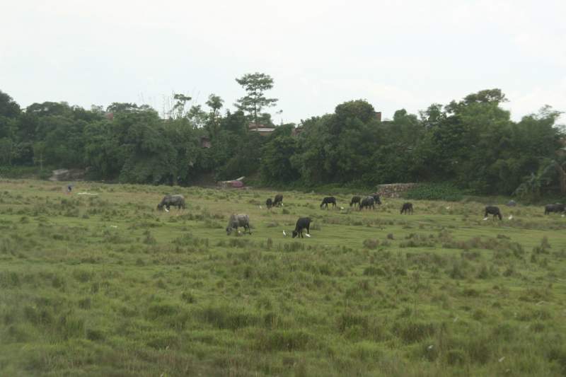 India & Nepal 2011 - 0524